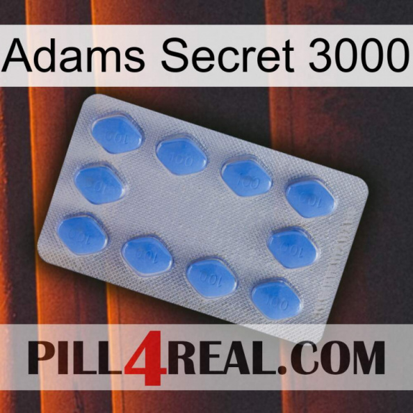 Adams Secret 3000 21.jpg